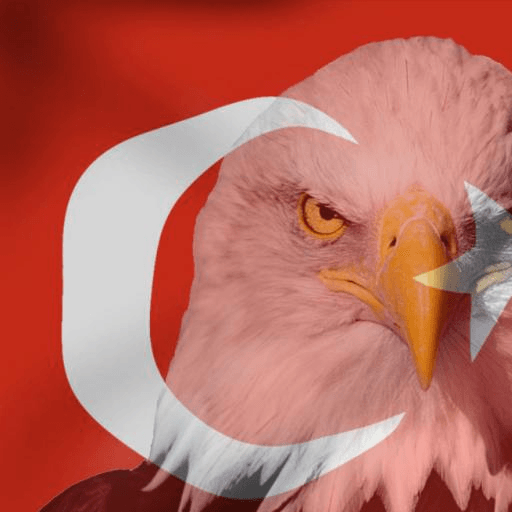 - asil türk - Skin